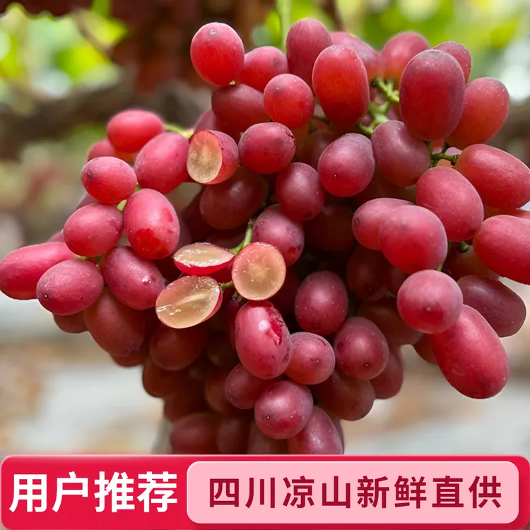 克伦生冰美人无籽红提颗颗脆甜爆汁应季新鲜水果