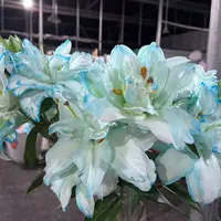 【3多头】冰雪重瓣百合 生花苞小 任意2单以上发货包邮 （吸色）