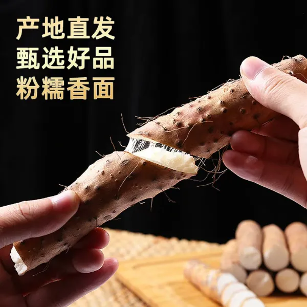 [坏果包赔]新鲜温县铁棍山药 5斤实惠装软糯香面 老人营养食材
