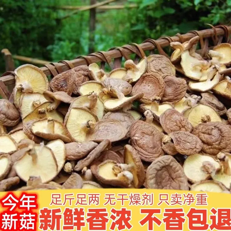 小腊妹收的椴木菇 传统工艺 精选手工农产品香味浓郁