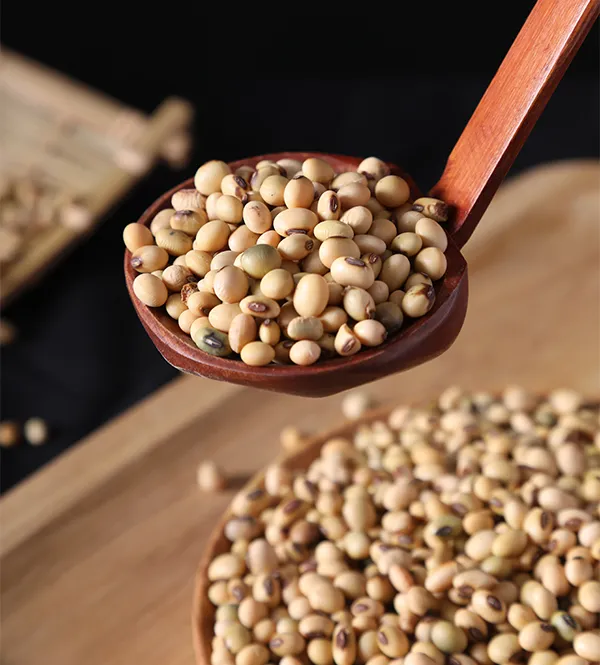 自留种有机黄豆-2025年有机方式古法种植500g/包