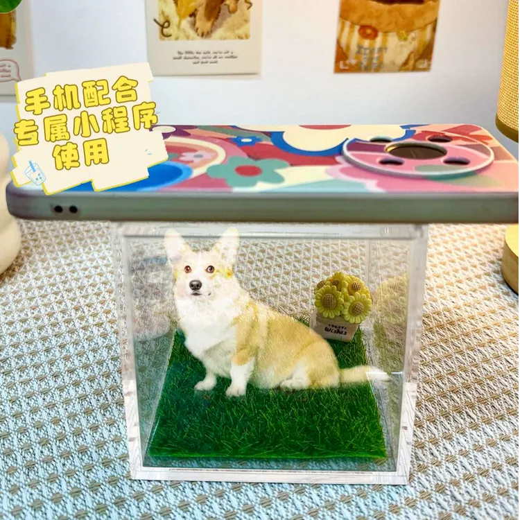 宠物全息数字屋 宠物纪念摆件 高透光材质全息影像 爱宠DIY