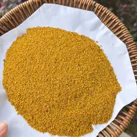 头采黄金蕊 金汤浮蕊’鎏光‘焕’颜 