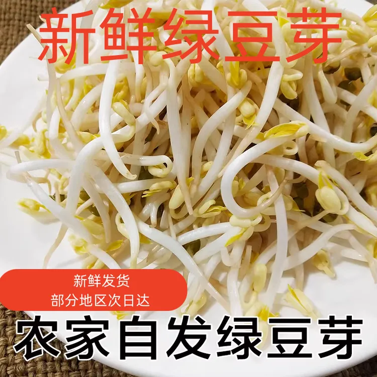 【生鲜冷链】农家妈妈现做现发3斤新鲜短粗绿豆芽短胖豆芽蔬菜