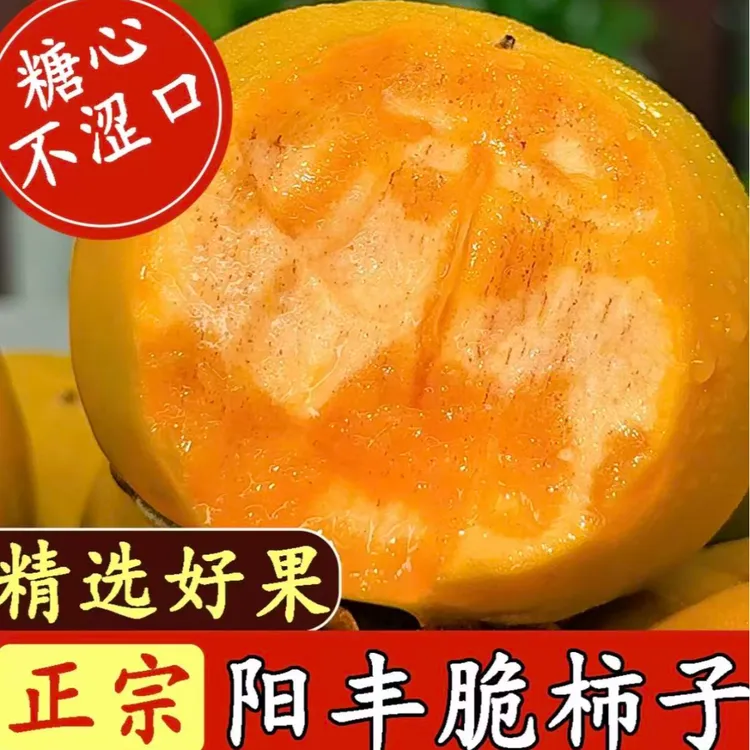 （彩箱1）正宗阳丰巧克力脆柿新鲜纯甜不涩口无核无籽现摘现发