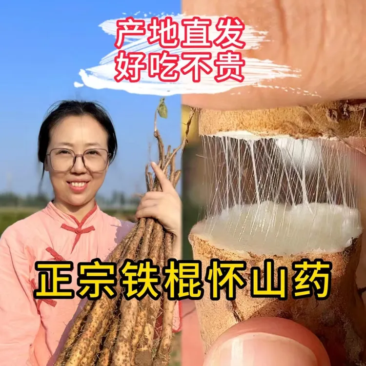 【2025 新鲜现挖】正宗温县垆土铁棍山药3斤5斤新鲜软糯商品图