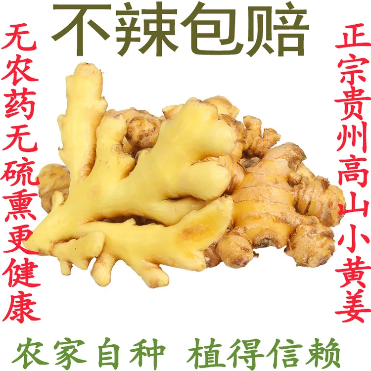 贵州小黄姜生姜新鲜现挖现发食调味辛辣浓郁美味农家美味生姜泡脚