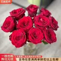 【云舍花卉】【纳欧米】单头玫瑰 全场任意满两单及以上鲜花包邮