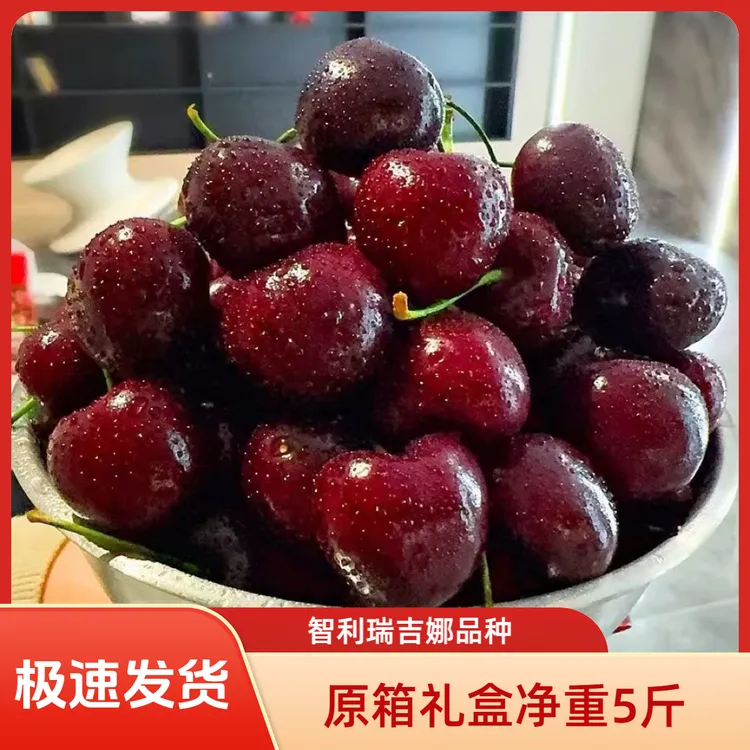 【极速发货顺丰京东海运车厘子】智利瑞吉娜3J-4J内附果径卡5斤装商品图