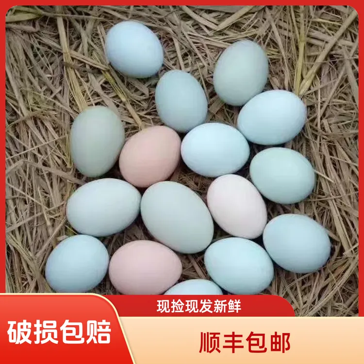 大别山区映子山林场散养土鸡蛋 粉壳/绿壳 现捡现发 40枚鸡蛋