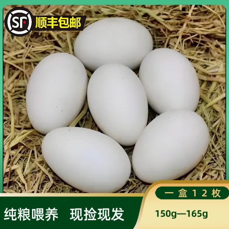 150克-165克纯粮散养现捡现发新鲜鹅蛋12枚-总净重≥1850克