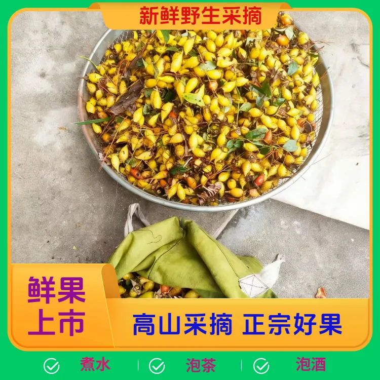 贵州高山现采现摘金樱子糖罐子蜂糖罐扎粒果当季金樱子泡酒专用
