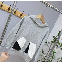 66662高端专享秋季卫衣灰色（蒂萨）