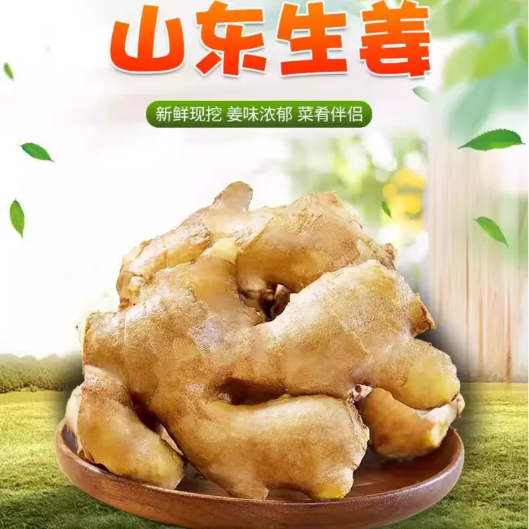 山东生姜大黄姜黄姜山地种植姜香味浓郁辛辣够味