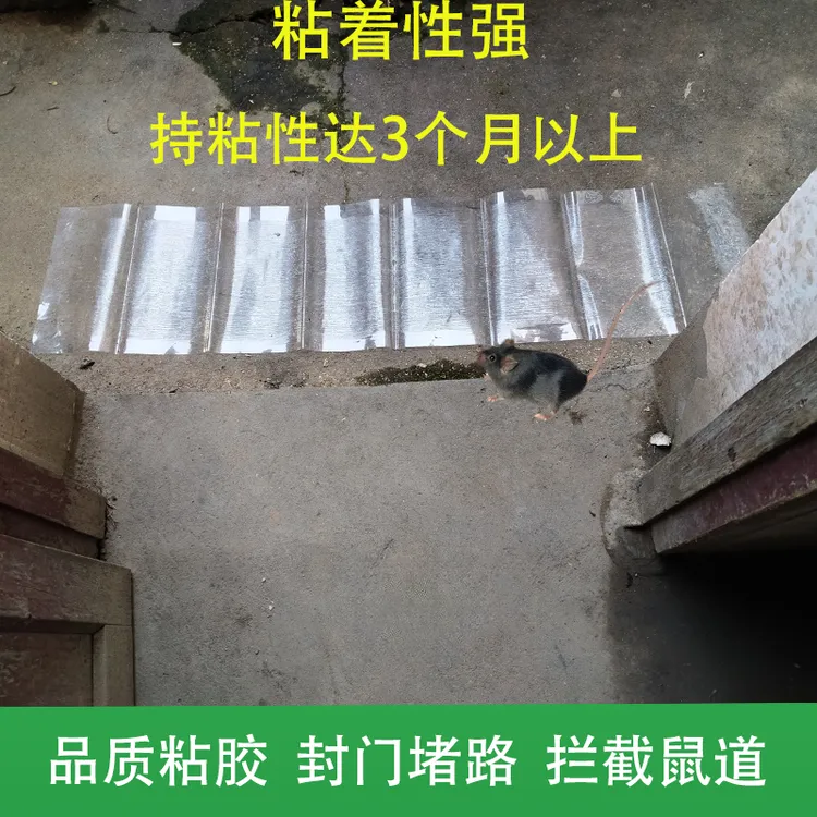 超强力老鼠贴粘鼠板家用一窝端抓粘大老鼠胶灭鼠毯正品驱捕鼠神器