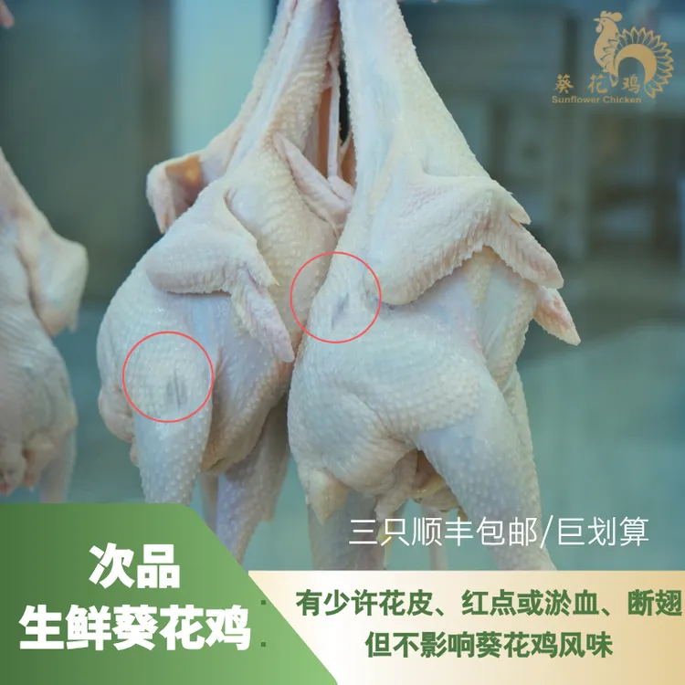 【葵花鸡次品】尝鲜价 巨划算 品质保障 无病好鸡