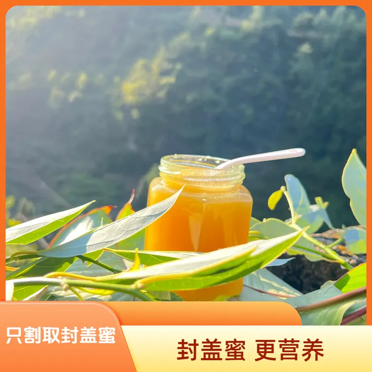 贵州深山封盖土蜂蜜（封盖蜜 更营养）