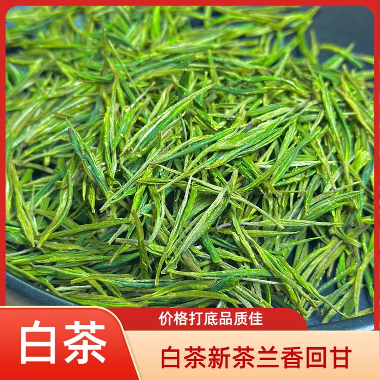 白茶【A288】2025年头采安吉明前白茶新茶【价格打到底】
