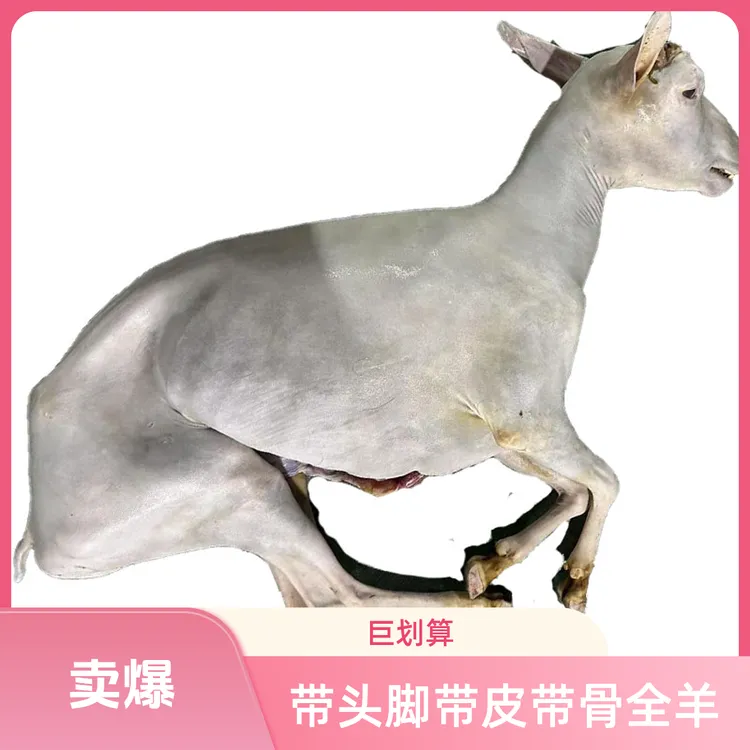 （整只羊不带羊头）顺丰现宰农户散养新鲜土黑山羊肉新鲜羊带脚带皮