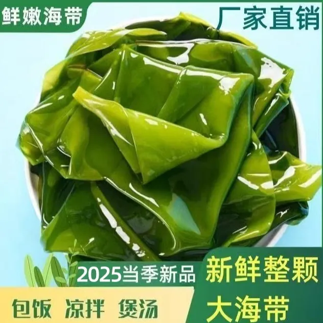 【东北小华】2025少盐大连海带新鲜盐渍整颗海带 带箱5斤