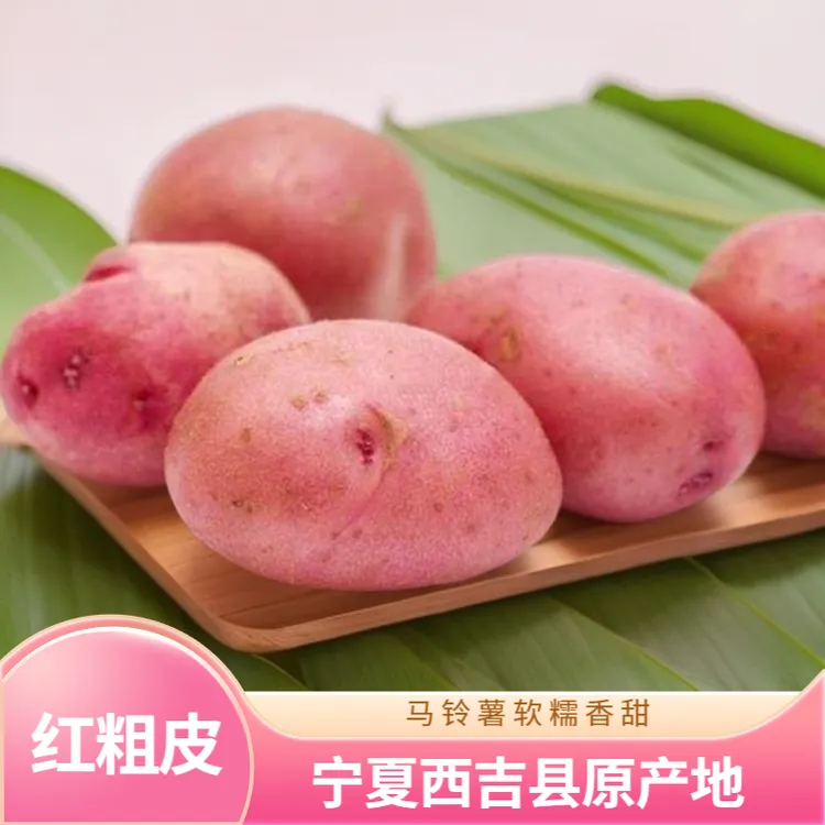 宁夏西吉农家自种红皮/白皮（粗皮）5斤箱马铃薯口感香糯厨房蒸烤炸