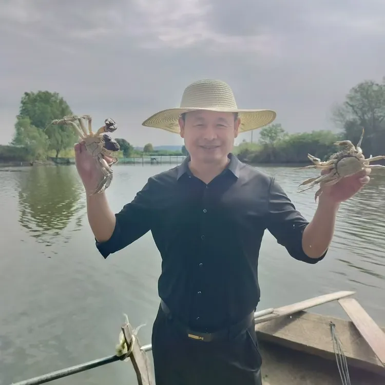 【活蟹】江苏大闸蟹母蟹2.8两-3.0两10只