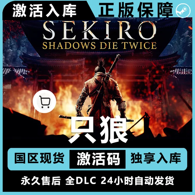 只狼 DLC 只狼影逝二度   只狼：影逝二度 苇名一心 电脑入库服务