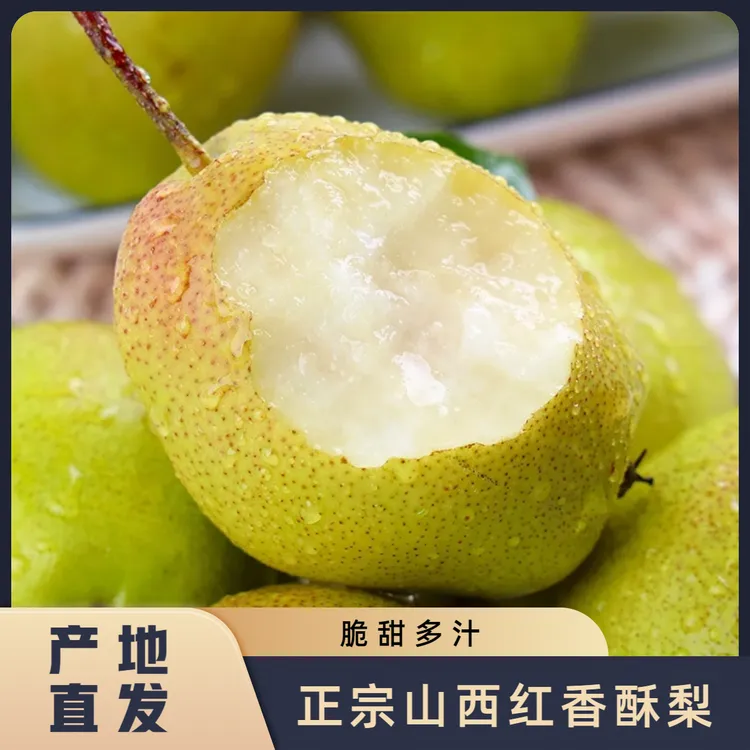 【果园直发】红香酥梨正宗香梨应季新鲜梨子现摘脆甜皮薄酥梨整箱A