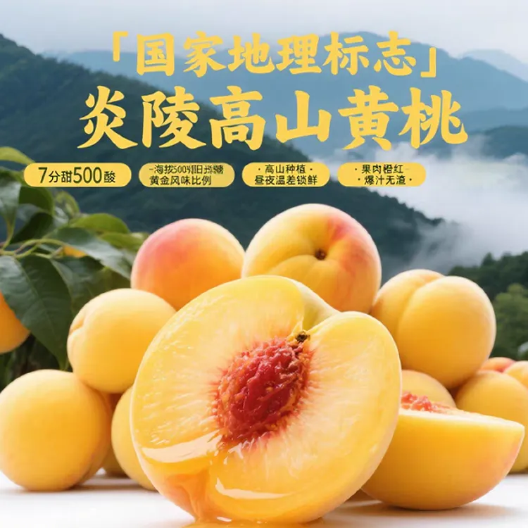 炎陵黄桃【含包装5斤装】正宗湖南炎陵黄桃现摘新鲜甜黄桃新鲜水果