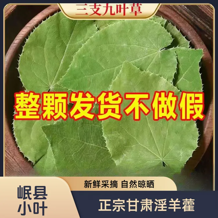 淫羊藿甘肃岷县小圆叶淫羊藿三枝九叶草可泡水泡酒