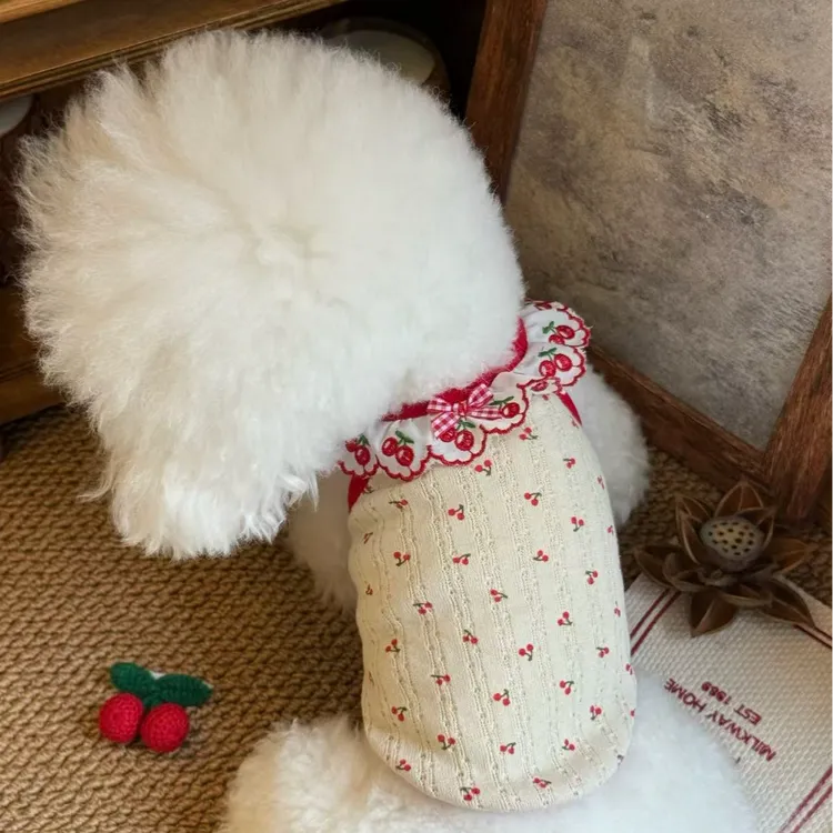 春夏款宠物衣服小樱桃挂脖裙