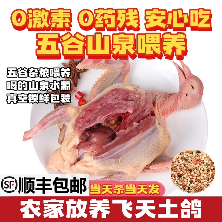 顺丰包邮农家新鲜现宰现发杂粮喂养乳鸽散养营养老鸽子肉坏单包赔