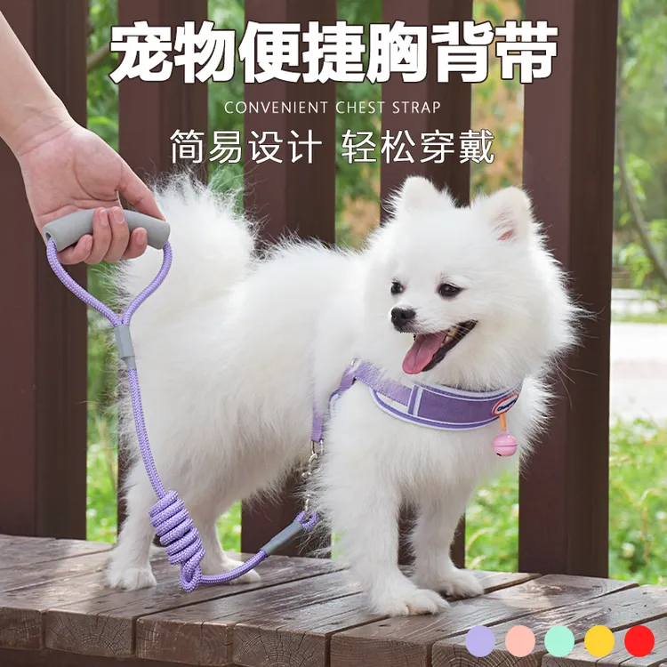狗狗铃铛牵引绳中型小型犬狗链子狗项圈泰迪金毛遛狗绳子宠物用品