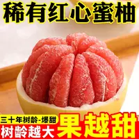 正宗红心蜜柚新鲜现摘酸甜多汁清甜水果红肉柚子【多仓发货】-璐璐
