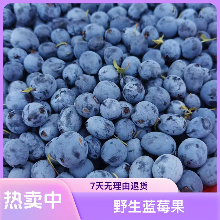 大兴安岭野生蓝莓（都市）泡蜂蜜发顺丰快递