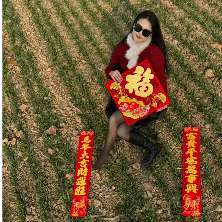 马年生肖纸质植绒自粘对联春节大门入户门装饰春联