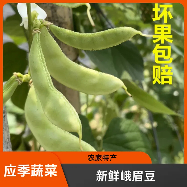 新鲜峨眉豆湖北天门农家老品种现摘峨眉豆峨米豆应季扁豆蔬菜3斤