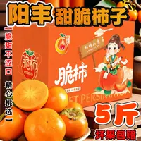 【果园直发】山西阳丰甜脆柿子现摘新鲜孕妇水果甜柿子巧克力脆柿子