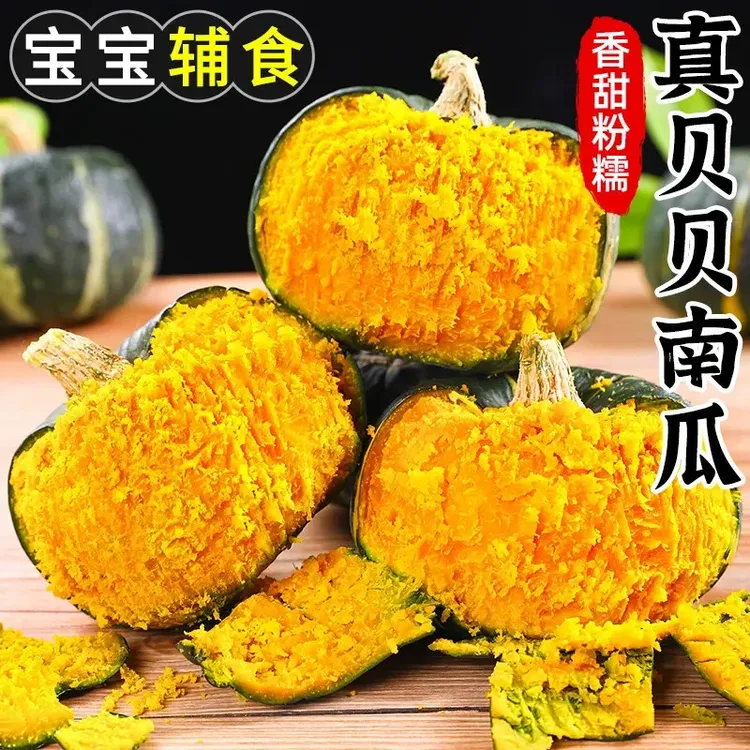 【惠和1号】正宗贝贝南瓜山东板栗小南瓜婴儿辅食老南瓜粉糯香甜营