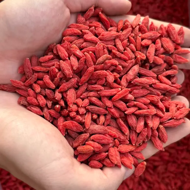 宠粉福利 50g*4袋红枸杞 干货