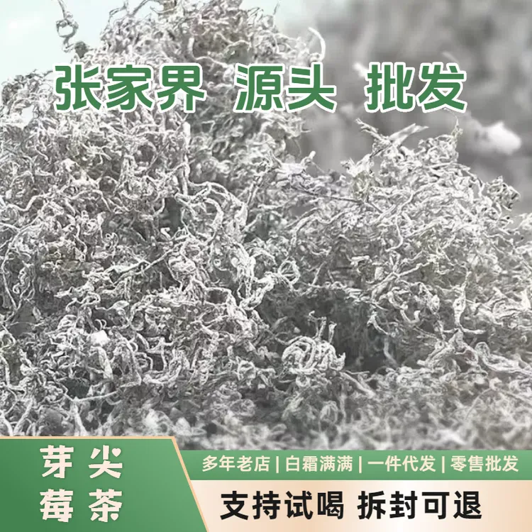 咳嗽多喝莓茶白霜芽尖【没有干燥剂】【不宰称】白霜莓茶芽尖足称足量
