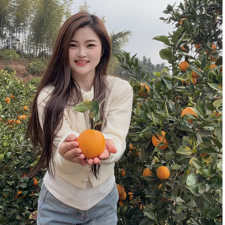 正宗湖南永兴冰糖橙 甜过初恋的感觉