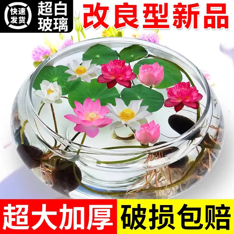 水培玻璃花盆透明碗莲盆铜钱草荷花盆缸养睡莲的专用花盆水仙鱼缸