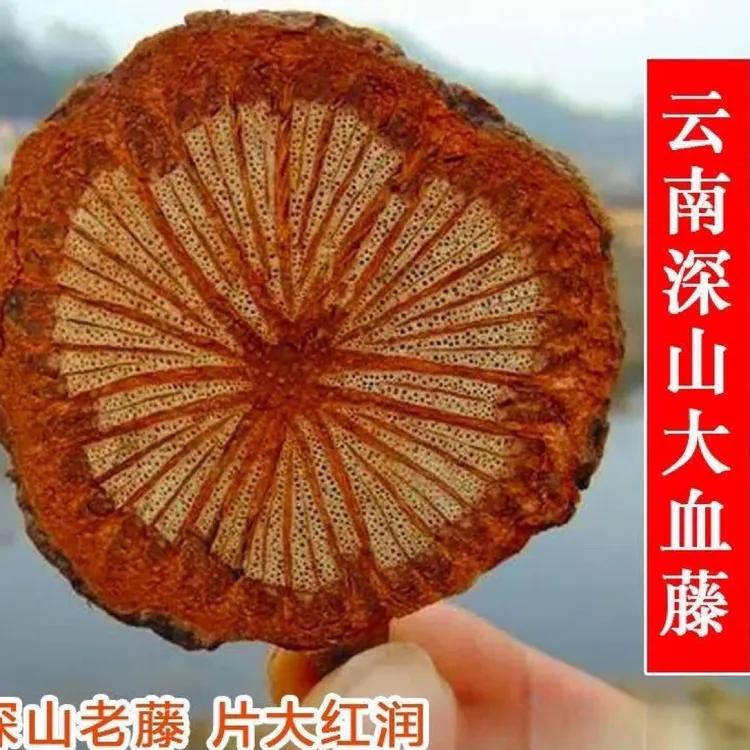 云南深山老树血塞通大红藤片泡水煮水泡酒包邮