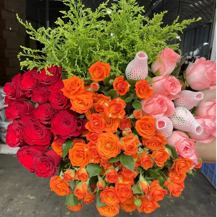 【红玫瑰套餐】红玫瑰10枝+粉玫瑰10枝+橙芭比3枝+草5枝 云南鲜花
