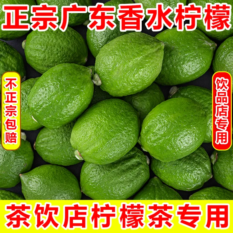 正宗广东香水柠檬一级新鲜现摘现发无籽柠檬奶茶店柠檬茶专用