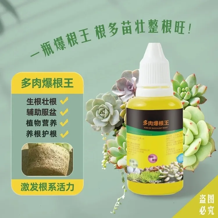 【拍二发五】多肉爆根王快速生根液壮苗剂养花水肥植物营养液通用