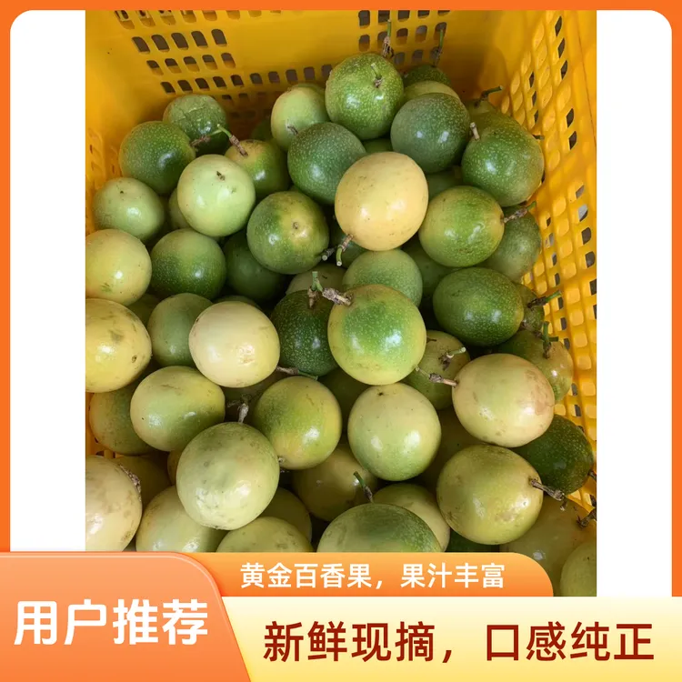 徐闻钦密9号黄金百香果A级中果浴室现摘现发当季百香果坏果包赔