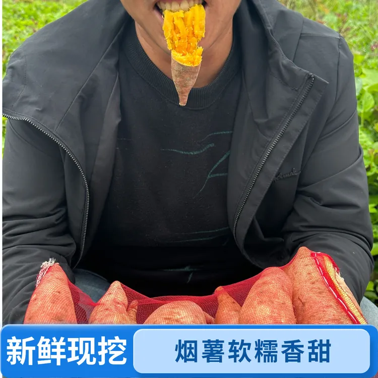 烟薯25正宗蜜薯软糯香甜皮薄无筋甘甜流蜜农家新鲜红薯番薯