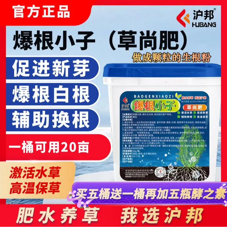 沪邦爆根小子草尚肥水草爆根白根生根高温保草辅助换根伊乐藻轮叶